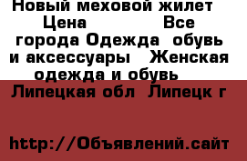 Новый меховой жилет › Цена ­ 14 000 - Все города Одежда, обувь и аксессуары » Женская одежда и обувь   . Липецкая обл.,Липецк г.